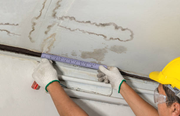 Reliable Water Damage Repair contractor in Chebeague Island, ME by Hirex Water Damage